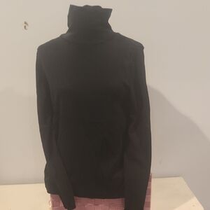 J Jill Womans Turtleneck Jersey